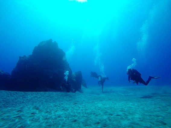 Reef Dives